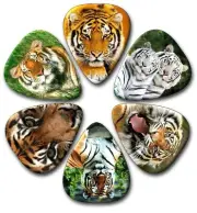 6 TIGER ~ Guitar Picks ~ Plectrums, Genuine Celluloid Guitar Picks