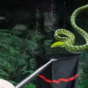 Snake Catcher Net for Safe Transporting Capturing All Kinds of Snake Moving