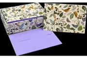 Peter Pauper Press Boxed Blank Note Cards - Birds and Berries 344175