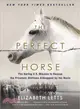 The Perfect Horse ─ The Daring U.S. Mission to Rescue the Priceless Stallions Kidnapped by the Nazis