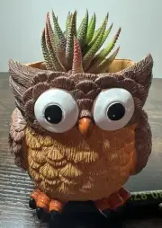 Owl Plastic Succulent Pot Woodland Forest Minimalist Gift *NEW