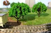 20 Mittelgrüne Deciduous Trees, 50 MM High