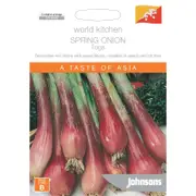 Johnsons Toga Spring Onion Vegetable Seeds