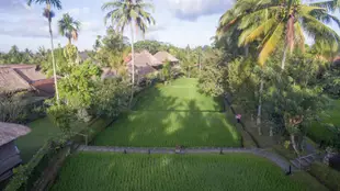 阿南達烏布度假村Ananda Ubud Resort