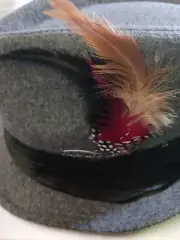 M. Germany,Oktoberfest Alpen Hunter Hat Feather. Grey Polyester, Felt,Unisex