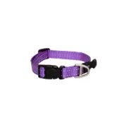 Rogz Classic Collar Purple (Medium) | For Dogs