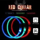 Rechargeable LED Light-Up Flash Glow Collar Dog Pet Adjustable Safety Micro D2Q3