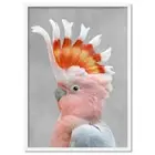 Pink Cockatoo Wall Art Print. Cheeky Bird. Living room, Kids or Nursery | ANA-29
