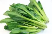 Mustard TENDERGREEN-KOMATSUNA-Japanese Spinach Mustard 100 Seeds
