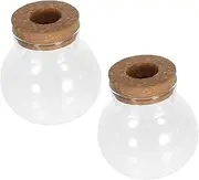 ibasenice 2pcs Small Glass Hydroponic Plant Vases for Office Desk Transparent Terrarium Containers Versatile Plant Propagation Station for Stylish Table Decor