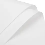 Pearlescent Film Flower Wrapping Paper 22.8x22.8 Inch White Pack of 19