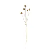 [Sleeping Giant] Poppy Seed Spray Light Brown - 76cm
