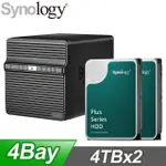 〈促銷組合〉 SYNOLOGY DISKSTATION DS423 4BAY NAS+HAT3300 PLUS 4TB NAS碟(X2)