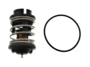 Thermostat REIN AUTOMOTIVE CTN0025 for Audi, Volkswagen Q7, CC, Passat, Touareg (for: Audi)