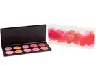 COASTAL SCENTS Professional Blush Shades 10 BLUSH PALETTE PL-012 - NIB