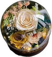 Valentine's Day Send her Eternity Rose Bouquet, Glass Dome Bouquet, Suitable for Women Gifts for mom, Grandma, Friend, Wife, Girlfriend Birthday Gift (1, Rose Champagne)