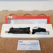HORNBY RAILWAYS OO GAUGE R2391 COUNTY CLASS 1010 ' COUNTY OF CARNARVON '