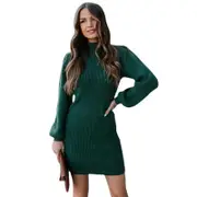 Nevenka Womens Turtleneck Long Sleeve Dress Knit Slim Pullover Dress-Green