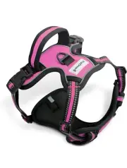 FurDreams No Pull Dog Harness - Secure Padded Vest Large