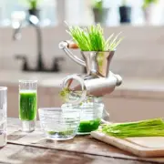 Wheatgrass & Leafy Vegetable Juicer | Roots & Harvest