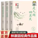 【正版塑封】3冊林徽因作品集你是人間四月天風輕云淡歲月安好現代文學書