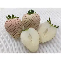 在飛比找蝦皮購物優惠-日本草莓.草莓苗. 奈良珍珠白(パールホワイト)白草莓種子