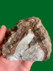 Lace Agate With Botryoidal Top. Rocks Crystals Minerals