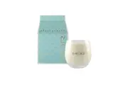 MOR Delectables Soy Candle Silver Tip Tea 250g