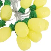 9.8ft 20LEDs Fruit String Lights Battery Operated String Lights For Indoor JY