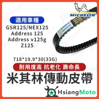 在飛比找蝦皮商城精選優惠-【現貨免運】米其林皮帶 GSR NEX Address 12