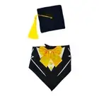 Porch Geese Suit Geese Decoration For Weddings Birthdays And Graduations