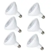 Par38 Led Light Bulbs 5000k Natural Daylight 6 Count (Pack of 1) Par38-180w