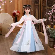 Chinese Retro Dress Princess Tang Suit Embroidered Hanfu Qipao Stage Costume