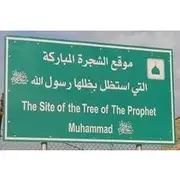 Save 5.41%! Prophet Muhammad's Tree & Cave of Sleepers Full-Day Private Tour
