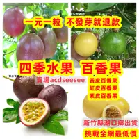 在飛比找蝦皮購物優惠-🔥🔥百香果種子 四季水果 台灣滿天星 黃金百香果種子 四季種
