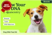 Know Your Pet DNA Dog Breed Identification Test Genetic Traits DNA Matches