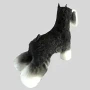 KissGrooming Schnauzer Standard Full Body Coat For Model Dog Mannequin Dog Pet