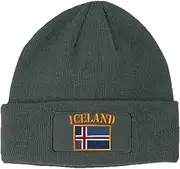 [Speedy Pros] Patch Beanie for Men & Women Iceland Flag Embroidery Skull Cap Hats 1 Size