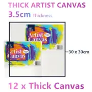 12x Thick Artist Blank Canvas Oil Acrylic Painting 30X30 Stretched Art Paint