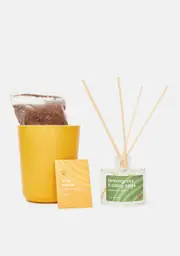 [Modern Sprout] Find Balance Grounding Aloe Kit