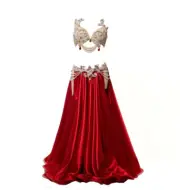 BIG SALE! New Sexy Luxury Women Bellydance Oriental Show Stage Belly Dance