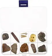 Generic 10pcs Specimens Office Decore Manteles Homedecor Classroom Teaching Specimen Who Like Paleontology Educational Dig Kit Simulation Model Sample
