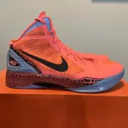 DS US 11 NIKE ZOOM HYPERDUNK 2011 BG DUNK 10.0 484935 800 BLAKE GRIFFIN DUNK