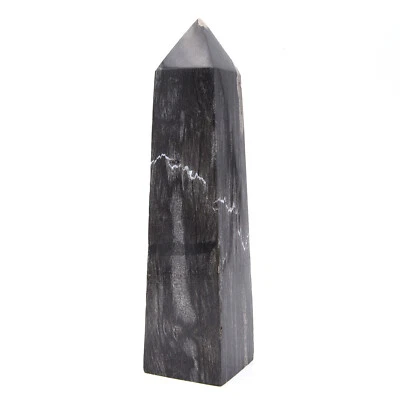 273mm Huge Petrified Wood Stone Generator Point Crystal Healing Natural Mineral