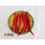 【蔬食殿買菜網】大辣椒 75克±10%