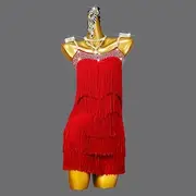Latin Dance Dress Tassel Women's Performance Clothes Sleeveless Rumba Salsa Chacha Stage Dancewear Costume