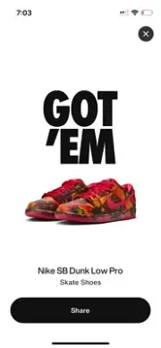 Wizard Of Oz Nike SB Dunk Low Pro WOO QS Size 11 2024
