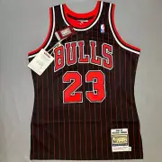 Mitchell & Ness Michael Jordan 95-96 Chicago Bulls Authentic Jersey Sz 40 M