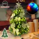 [特價]摩達客耶誕-2尺/2呎(60cm)特仕幸福型裝飾綠色聖誕樹 (果綠金雪系全套飾品)+20燈LED燈插電式彩光*1/贈控制器/本島免運費