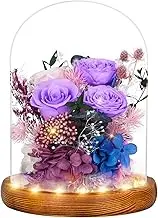 Preserved Rose in Glass Dome, Flowers for Delivery Prime, Mother's Day Valentine's Day Gifts for Women, Birthday Presents for Wife/Mom/Grandma, Real Forever Fresh Roses with Greeting Card, Gift Box